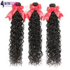 Wow Queen Brazilian Remy Water Wave Human Hair 3 Piece Bundle With Closure