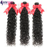 Wow Queen Brazilian Remy Water Wave Human Hair Weave Bundles With Closures