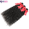 Wow Queen Brazilian Remy Water Wave Human Hair Weave Bundles With Closures