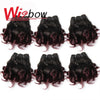 WigBow Brazilian Ombre Bouncy Curly 8 Inch 6 Piece Human Hair Weave Bundles