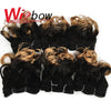 WigBow Brazilian Ombre Bouncy Curly 8 Inch 6 Piece Human Hair Weave Bundles