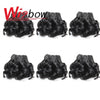 WigBow Brazilian Ombre Bouncy Curly 8 Inch 6 Piece Human Hair Weave Bundles