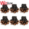 WigBow Brazilian Ombre Bouncy Curly 8 Inch 6 Piece Human Hair Weave Bundles